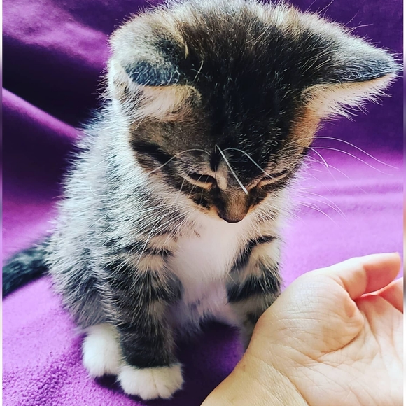 Meet your Posher, Cassi - Picture 11 of 16